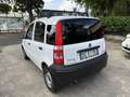 Fiat Panda Panda 1.3 MJT Van Active 2 posti Blanc - thumbnail 4