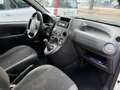 Fiat Panda Panda 1.3 MJT Van Active 2 posti Blanc - thumbnail 9