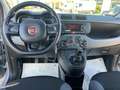 Fiat Panda Panda 1.2 Easy BARRE TETTO Grigio - thumbnail 11