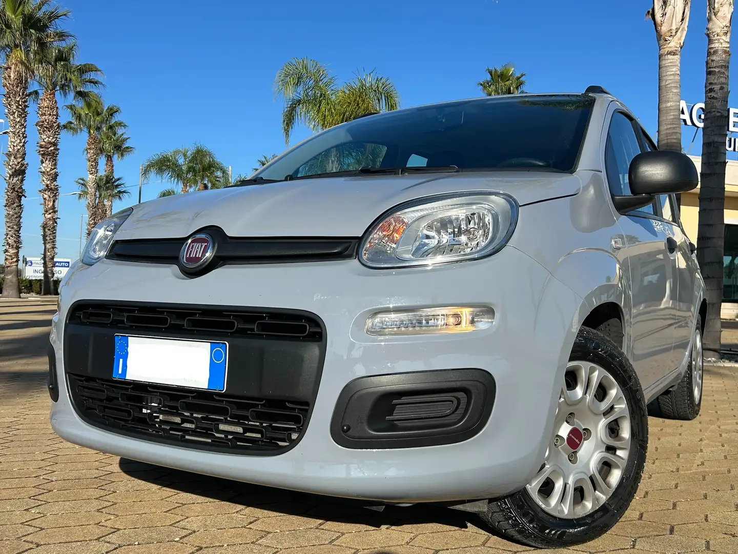 Fiat Panda Panda 1.2 Easy BARRE TETTO Grigio - 1