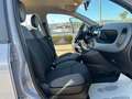 Fiat Panda Panda 1.2 Easy BARRE TETTO Grigio - thumbnail 12