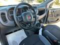 Fiat Panda Panda 1.2 Easy BARRE TETTO Grigio - thumbnail 10