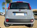 Fiat Panda Panda 1.2 Easy BARRE TETTO Grigio - thumbnail 8