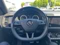 Skoda Kodiaq SPORTLINE TDI DSG Grau - thumbnail 9