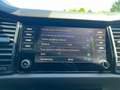 Skoda Kodiaq SPORTLINE TDI DSG Grau - thumbnail 14