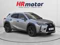 Lexus UX 250h Business 2WD Gris - thumbnail 1