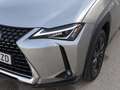 Lexus UX 250h Business 2WD Gris - thumbnail 24