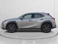 Lexus UX 250h Business 2WD Gris - thumbnail 6
