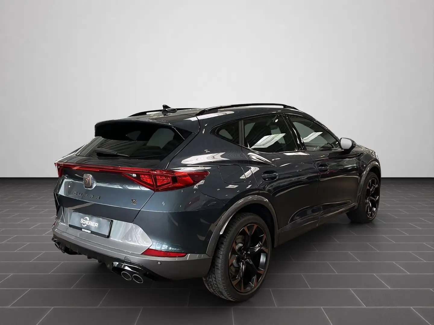 CUPRA Formentor VZ 2.0 TSI 4Drive DSG Rückfahrkamera, Gris - 2