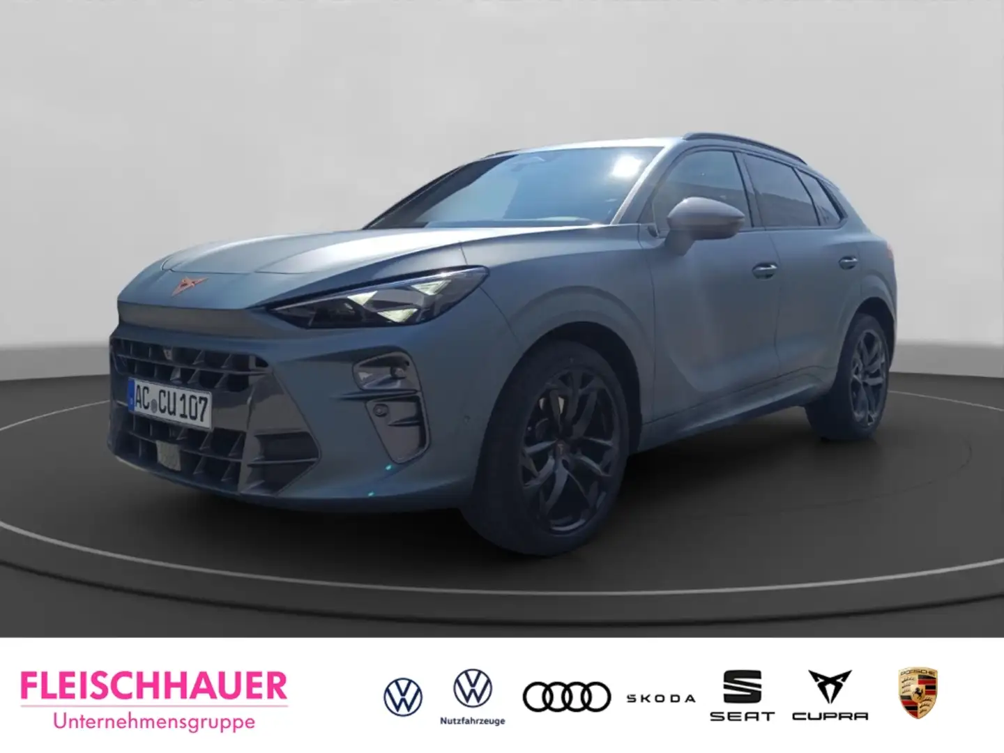 CUPRA Terramar America s CUP Limited Edition  2.0 TSI 195 kW 4Dri Серый - 1