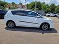 Toyota Verso Diesel 2.0 D-4D Executive/AHK Blanc - thumbnail 6