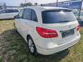 Mercedes-Benz B 180 B 180 (246.242) Weiß - thumbnail 8