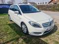 Mercedes-Benz B 180 B 180 (246.242) Weiß - thumbnail 3