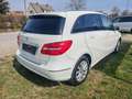 Mercedes-Benz B 180 B 180 (246.242) Weiß - thumbnail 4