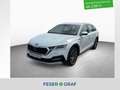 Skoda Octavia Combi SCOUT 2.0 TDI 7-DSG 4x4 *AHK*COLUMBUS*HEADUP Bianco - thumbnail 1