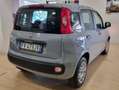 Fiat Panda Panda III 2016 1.2 Lounge s Gris - thumbnail 4
