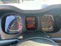 Fiat Panda 1.0 FireFly S&S Hybrid Sport Blu/Azzurro - thumbnail 11