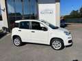 Fiat Panda 0.9 TwinAir Turbo Natural Power Lounge Bianco - thumbnail 13