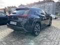 Lexus UX 250h Luxury *Schiebedach, Mark Levinson* siva - thumbnail 4