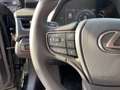 Lexus UX 250h Luxury *Schiebedach, Mark Levinson* Grau - thumbnail 18