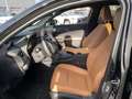 Lexus UX 250h Luxury *Schiebedach, Mark Levinson* Gris - thumbnail 8