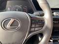 Lexus UX 250h Luxury *Schiebedach, Mark Levinson* Grijs - thumbnail 19