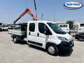 Fiat Ducato Maxi 130 MTJ Doppia Cabina cassone + gru Blanc - thumbnail 1