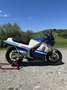 Suzuki RG 500 gamma - thumbnail 9