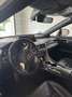 Lexus RX 450h F Sport - thumbnail 10