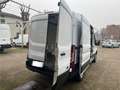 Ford Transit Transit 350 2.0TDCi EcoBlue MHEV 130CV PM-TM Furg Bianco - thumbnail 5