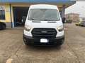 Ford Transit Transit 350 2.0TDCi EcoBlue MHEV 130CV PM-TM Furg Bianco - thumbnail 2