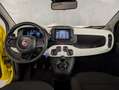 Fiat Panda 1.0 HYBRID 70CV PANDINA CROSS Gelb - thumbnail 7
