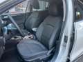 Ford Focus Focus Active X SW 1.0 Ecoboost 125 cv Beige - thumbnail 11