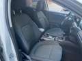Ford Focus Focus Active X SW 1.0 Ecoboost 125 cv Beige - thumbnail 12