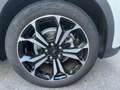 Ford Focus Focus Active X SW 1.0 Ecoboost 125 cv Beige - thumbnail 15
