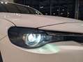 Mazda MX-30 2020 e-Skyactiv 145 ch 5P Weiß - thumbnail 15