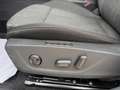 Skoda Octavia 1.0 TSI Style OPF (EURO 6d) Blau - thumbnail 29