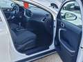 Kia XCeed 1.0 T-GDi Concept Blanco - thumbnail 14