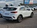 Kia XCeed 1.0 T-GDi Concept Blanco - thumbnail 5