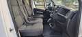 Fiat Ducato 33 2.3 MJT 120CV PLM-TM White - thumbnail 15