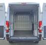 Fiat Ducato 33 2.3 MJT 120CV PLM-TM White - thumbnail 5