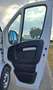 Fiat Ducato 33 2.3 MJT 120CV PLM-TM White - thumbnail 14