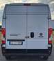 Fiat Ducato 33 2.3 MJT 120CV PLM-TM White - thumbnail 4