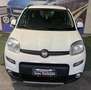 Fiat Panda 0.9 t.air t. Trussardi 4x4 s&s 85cv Blanc - thumbnail 3