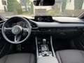 Mazda 3 G140 Exclusive-Line Automatik BOSE 360 Kamera Grau - thumbnail 8