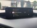 Mazda 3 G140 Exclusive-Line Automatik BOSE 360 Kamera Grau - thumbnail 10