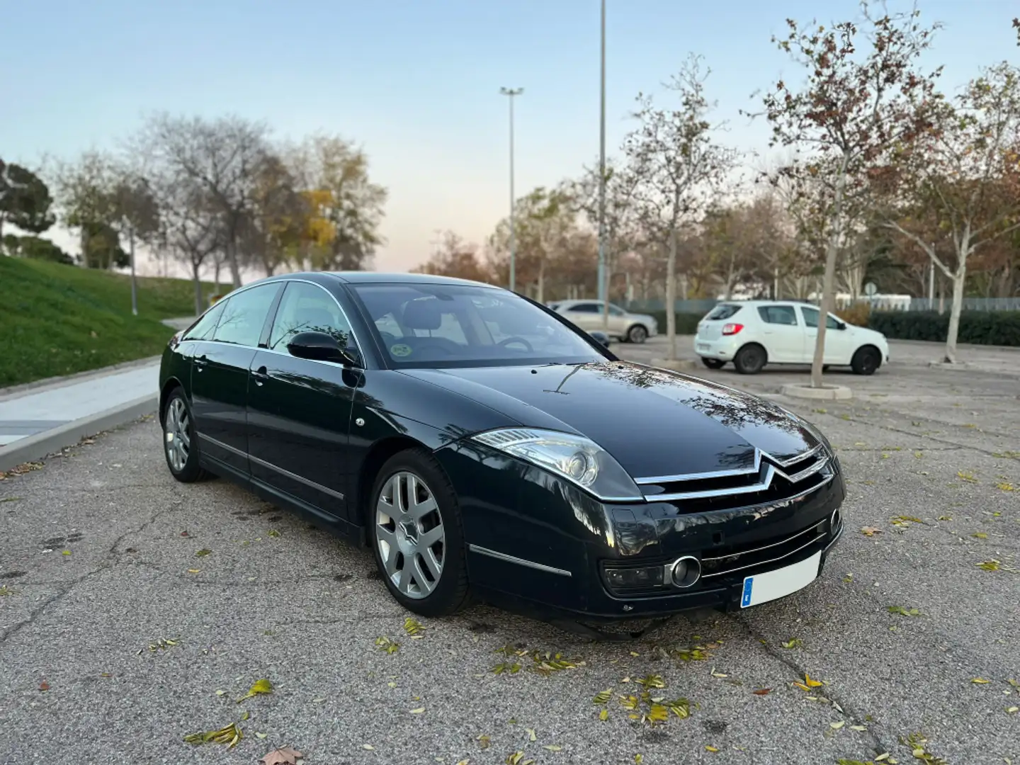 Citroen C6 2.7HDi V6 Exclusive Aut. Argintiu - 1