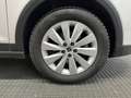 SEAT Arona 1.0 ecotsi Xperience 110cv dsg Bianco - thumbnail 6