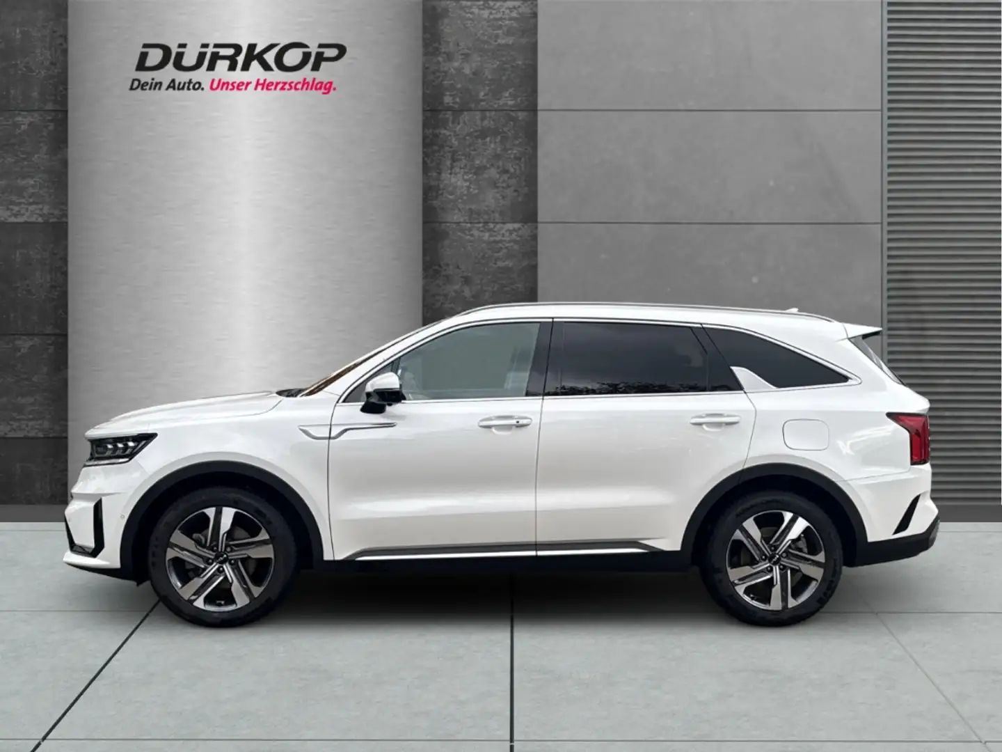 Kia Sorento Platinum Allrad 1.6 Hybrid 7-Sitzer HUD Navi Leder Weiß - 2