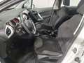 Citroen C3 Citroen C3 1.4 Exclusive Style Eco Energy GPL Bianco - thumbnail 12
